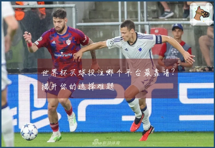 世界杯买球投注哪个平台最靠谱?揭开你的选择难题
