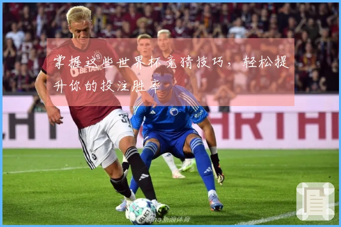 掌握这些世界杯竞猜技巧，轻松提升你的投注胜率