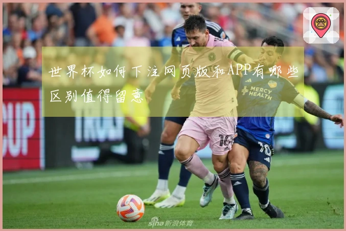 世界杯如何下注网页版和APP有哪些区别值得留意