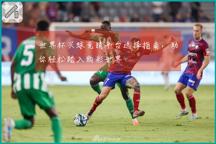 世界杯买球竞猜平台选择指南，助你轻松踏入购彩世界