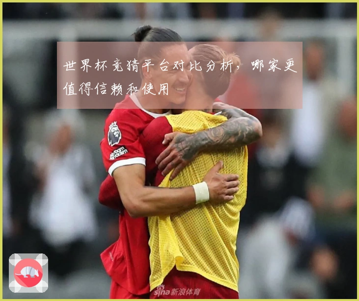 世界杯竞猜平台对比分析，哪家更值得信赖和使用