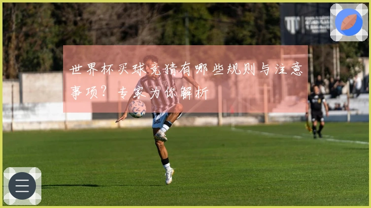 世界杯买球竞猜有哪些规则与注意事项？专家为你解析