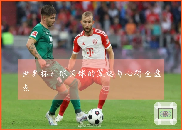 世界杯让球买球的策略与心得全盘点