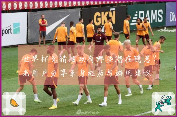 世界杯竞猜活动有哪些潜在隐患？老用户分享亲身经历与避坑建议