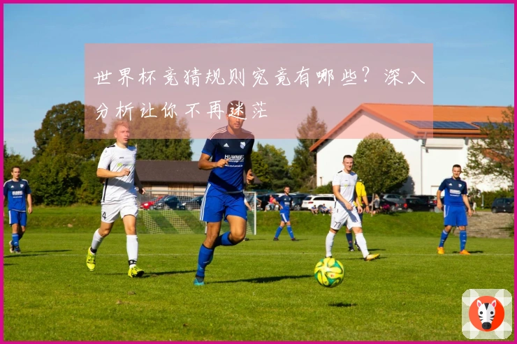 世界杯竞猜规则究竟有哪些？深入分析让你不再迷茫