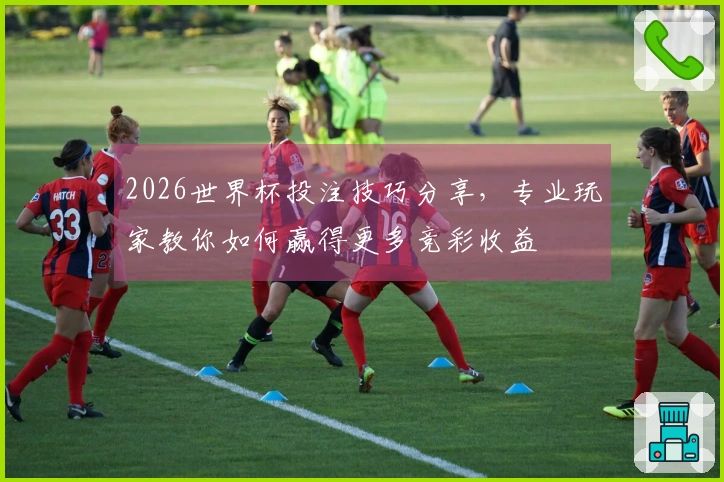 2026世界杯投注技巧分享，专业玩家教你如何赢得更多竞彩收益