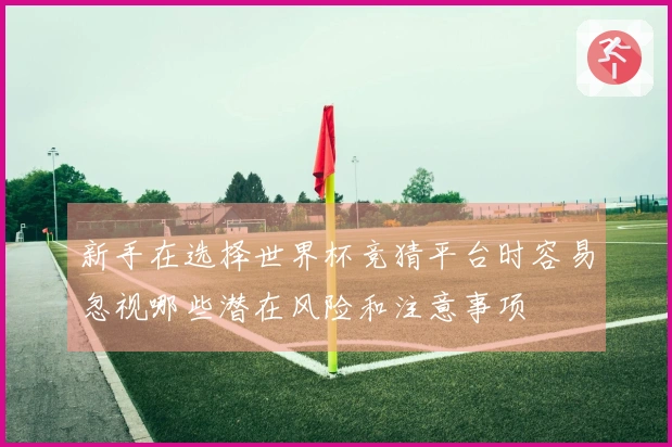 新手在选择世界杯竞猜平台时容易忽视哪些潜在风险和注意事项