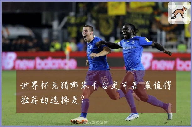 世界杯竞猜哪家平台更可靠 最值得推荐的选择是?