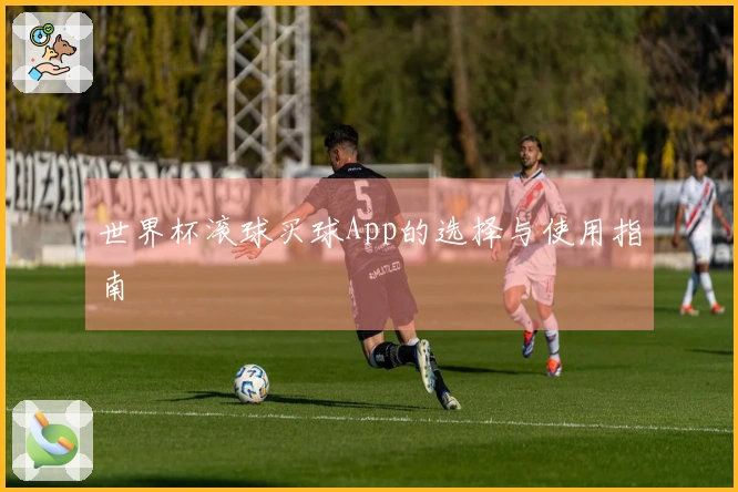 世界杯滚球买球App的选择与使用指南