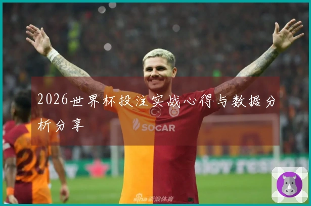 2026世界杯投注实战心得与数据分析分享