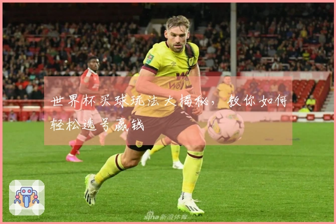 世界杯买球玩法大揭秘,教你如何轻松选号赢钱
