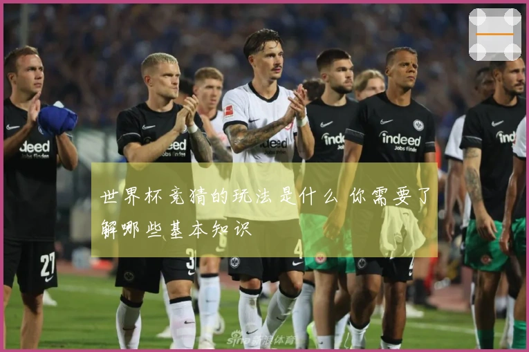 世界杯竞猜的玩法是什么 你需要了解哪些基本知识