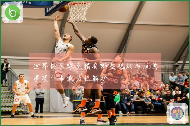 世界杯买球竞猜有哪些规则与注意事项？专家为你解析